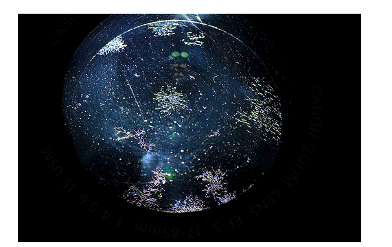 info-571-360 info-571-360